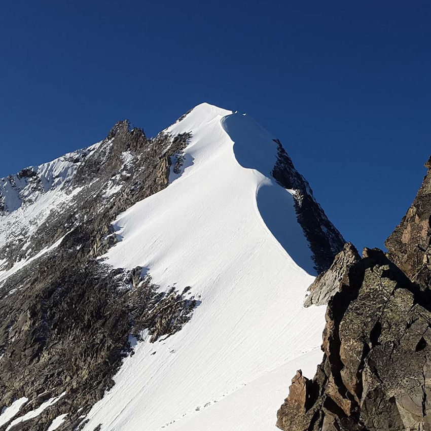 Biancograt Bernina